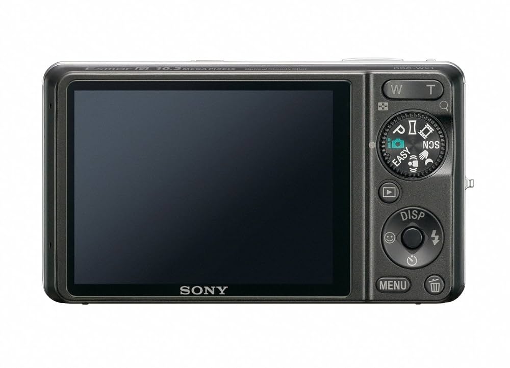 Sony Cyber-shot WX1 Compact Digital Camera - 10.2 MP, 3648 x